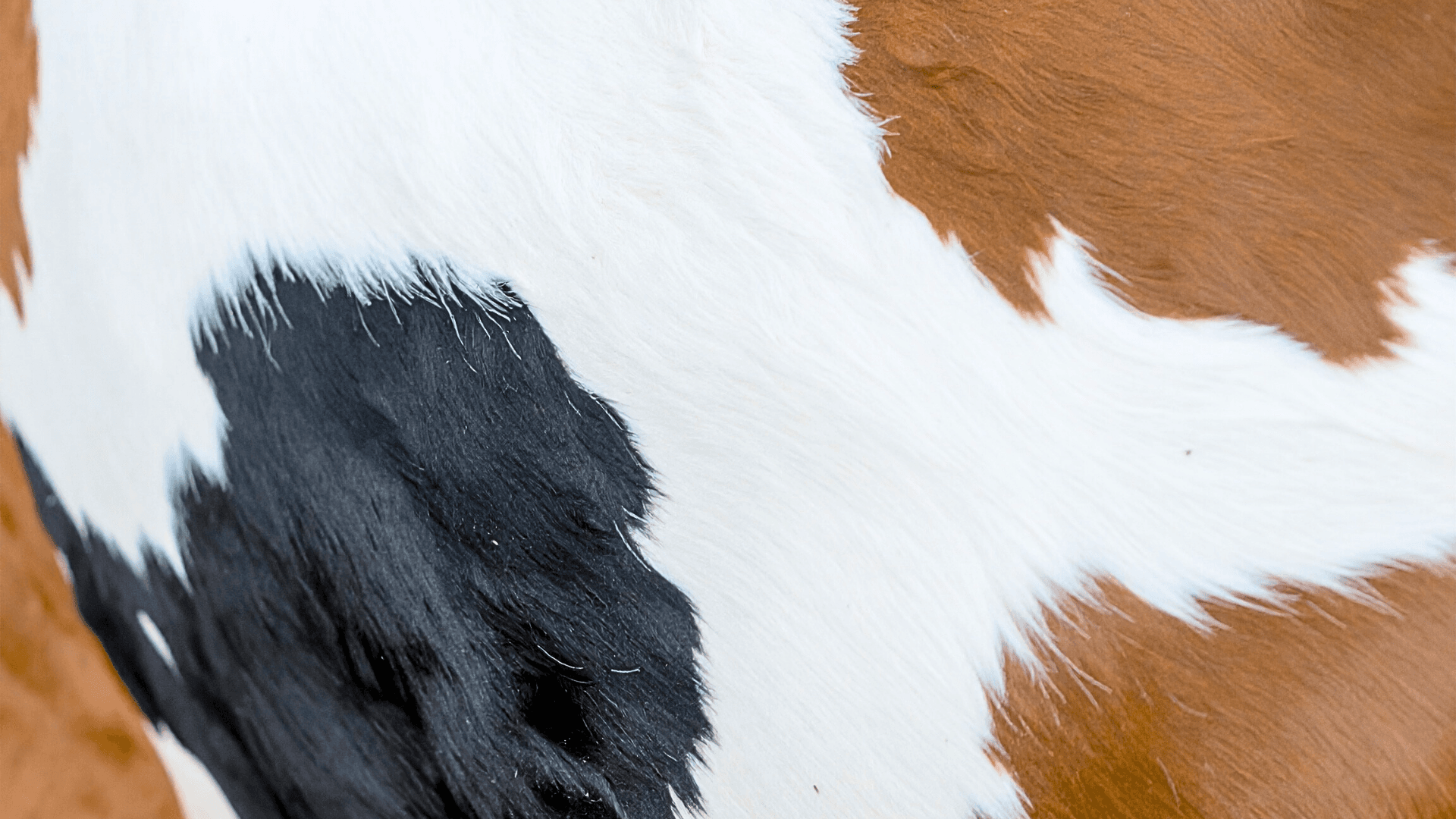 Increasing Operational Efficiency