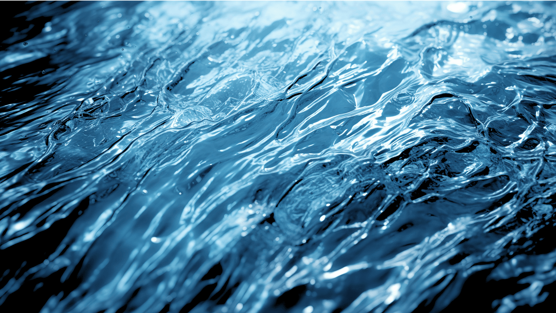 Digitization for Growth